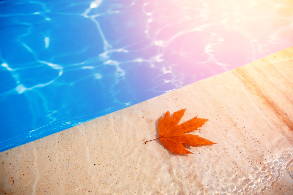 Early Fall Pool Repairs Brentwood Homeowners Shouldn’t Ignore